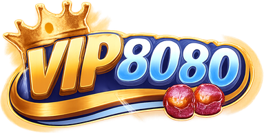 vip8080